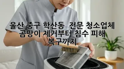 울산 중구 학산동 🏠 전문 청소업체, 곰팡이 제거부터 침수 피해 복구까지! 🌊