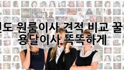진도 원룸이사 견적 비교 꿀팁🍯 용달이사 똑똑하게!