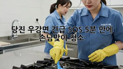 당진 우강면 긴급 SOS🚨 5분 만에 손님맞이 청소🧹✨